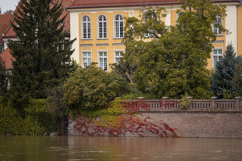 Pierwsze oznaki jesieni 2024 we Wrocławiu